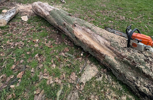  Snoeien en vellen van bomen Arendonk, Antwerpen